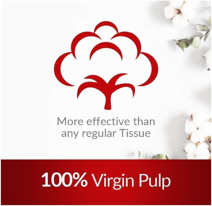 Softy Maxi Roll Kitchen Paper Towels - 6 Rolls, 600g Each, 3600 Sheets, Highly Absorbent